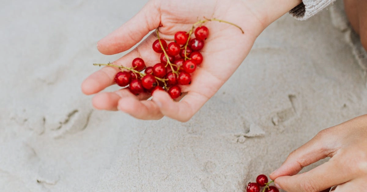 Sweet Bonanza игра как инструмент релаксации и заботы о себе